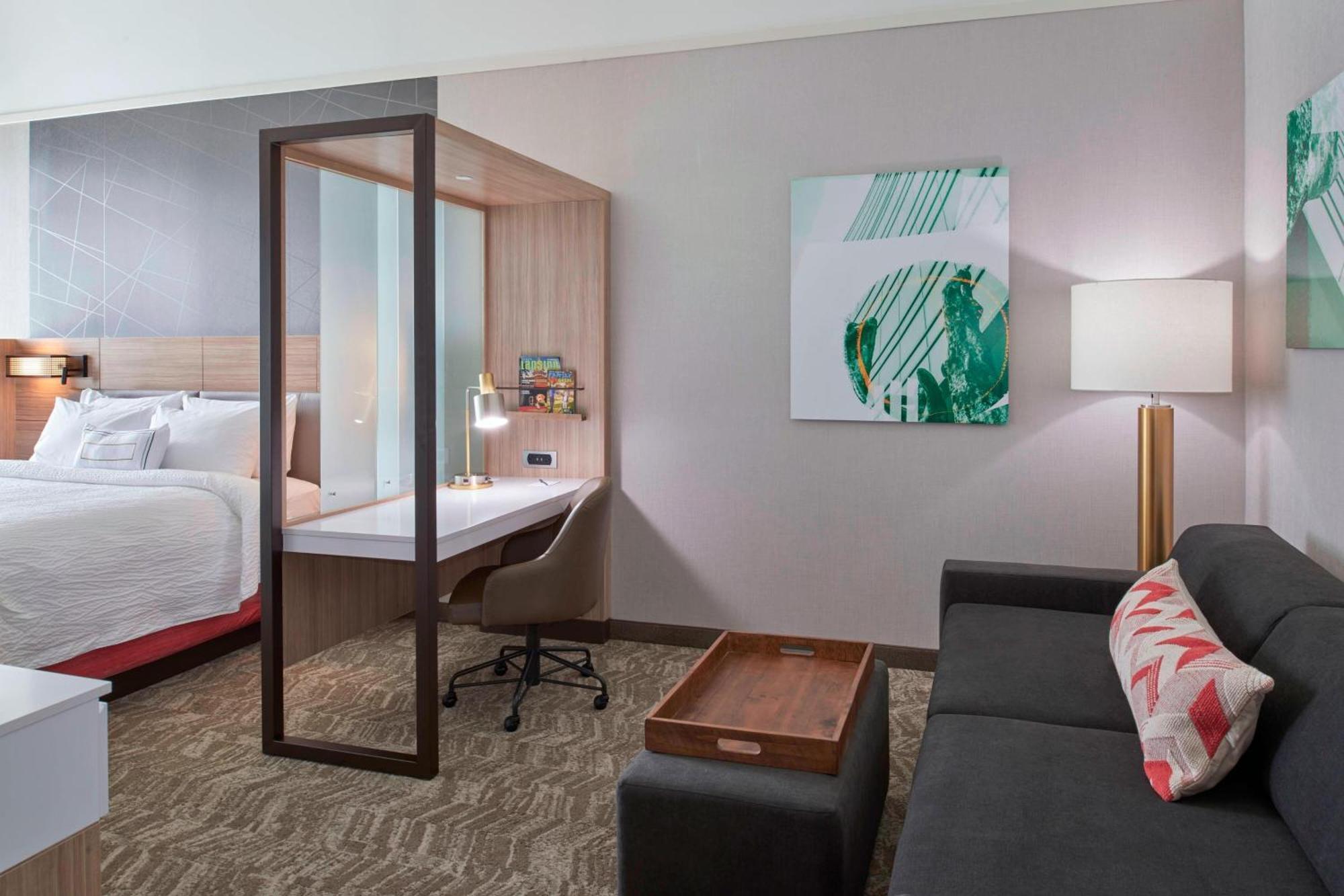 Springhill Suites By Marriott East Lansing University Area, Lansing Area Экстерьер фото